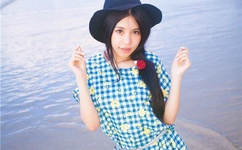 野鸭子剧情简介